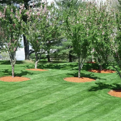 Landscaping Services Champaign, IL