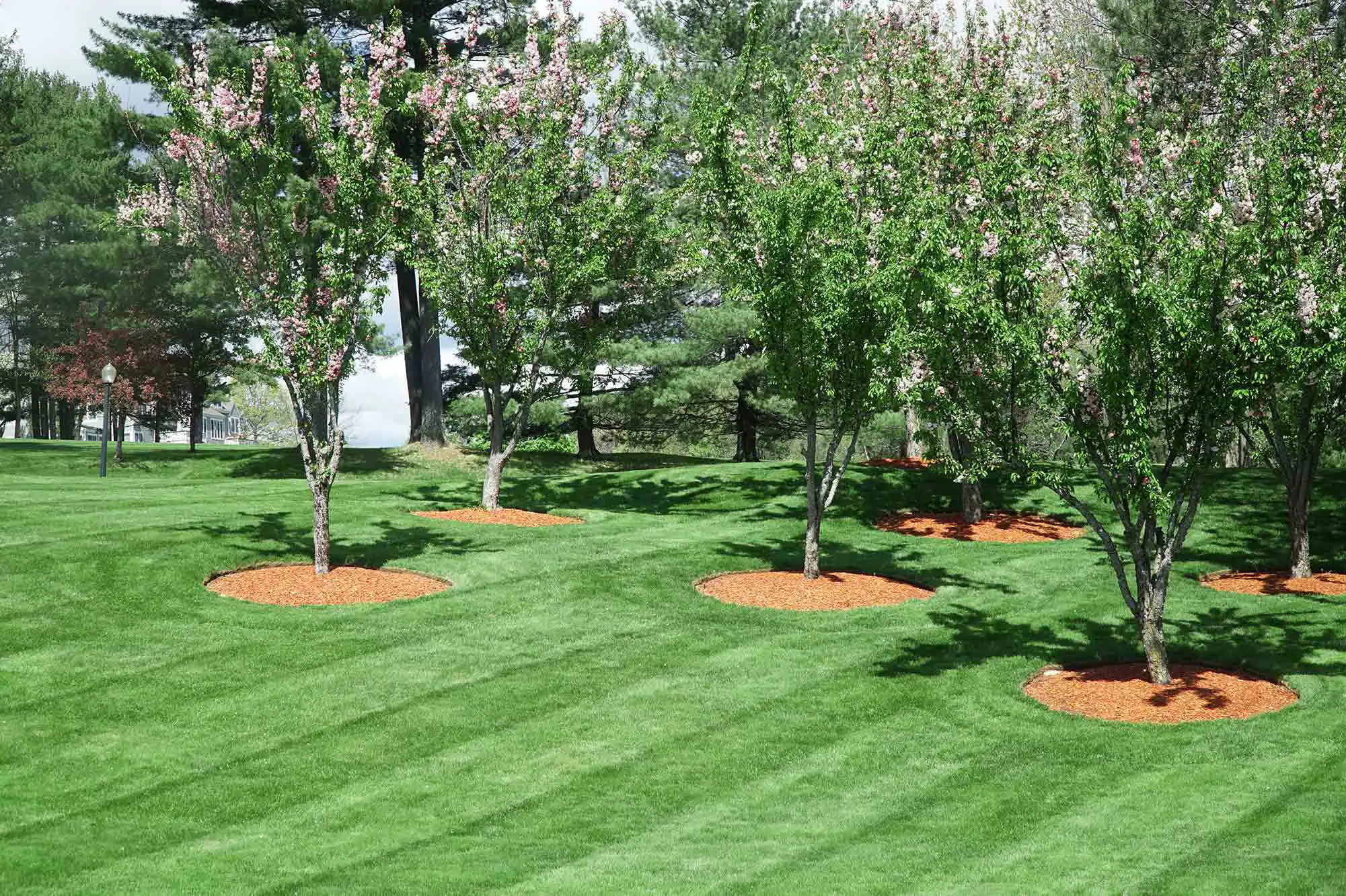 Landscaping Services Champaign, IL