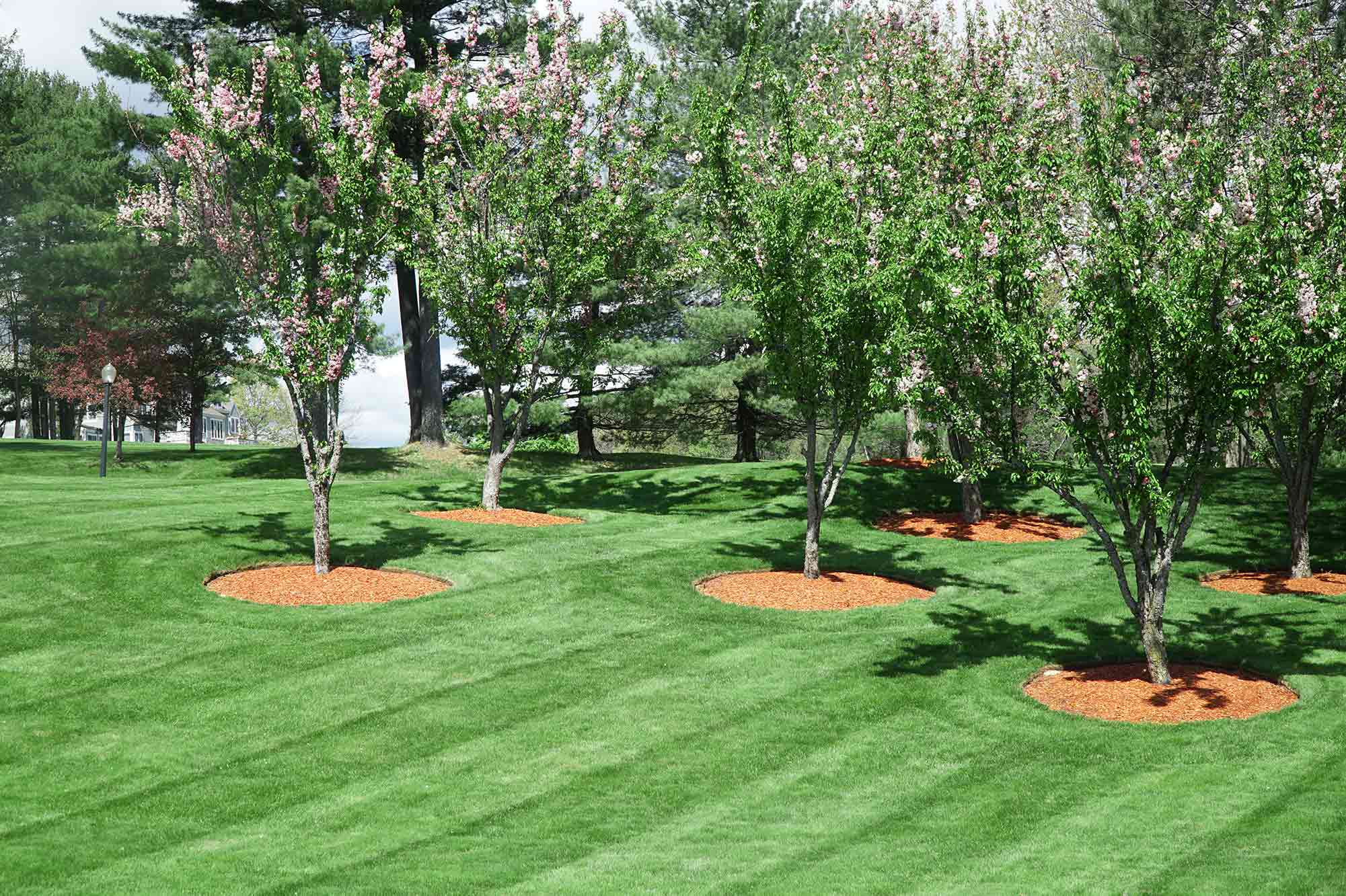 Lincoln, IL Landscaping Services
