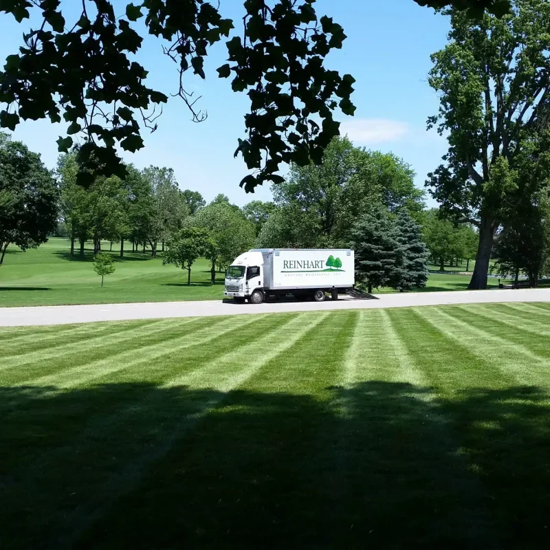 20150608_130658 Bloomington, IL Landscaping Companies